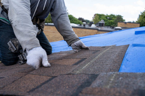 Best Local Roofing Companies  in Old Stine, CA